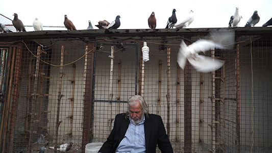 2019 UCLA Film - Ali Aqa