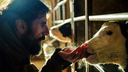 2023 UCLA Film Last Snow 02