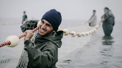 2024 UCLA Film - Empty Nets