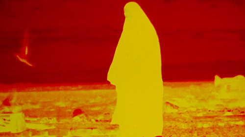 2025 UCLA Film - Razeh-Del