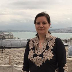 Professor Firoozeh Kashani-Sabet