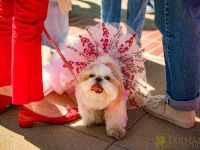 2022 Nowruz Celeb at UCLA89