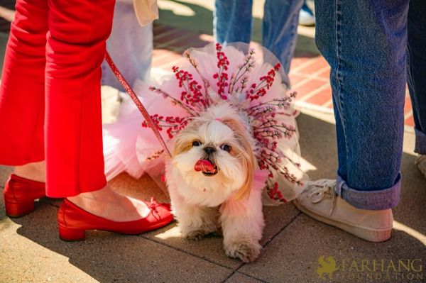 2022 Nowruz Celeb at UCLA89