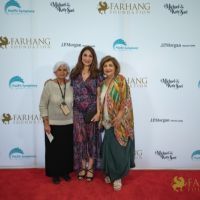 Nowruz Concert Unity For Freedom   Red Carpet 054