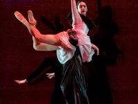 The White Feather 086