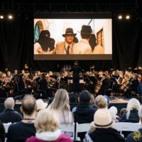 HAMED NIKPAY at the 2023 SUMMERFEST   29