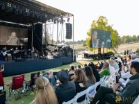 HAMED NIKPAY at the 2023 SUMMERFEST   36