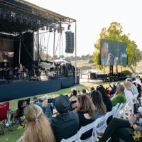 HAMED NIKPAY at the 2023 SUMMERFEST   36