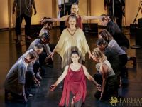 Conference of The Birds   016