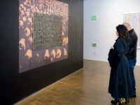 047 ART IRAN Falling Into Language Opening Celebration