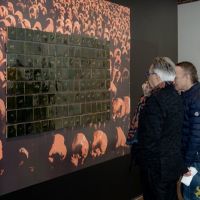 124 ART IRAN Falling Into Language Opening Celebration