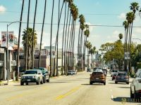 014 Farhang Nowruz Street Banners 2024