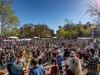 1  Highlights from the 15th Annual Celebration of Nowruz at UCLA