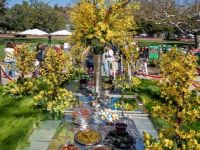 206  15th Annual Celebration of Nowruz at UCLA