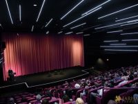 3 IN THE SHADOW OF THE CYPRESS   UCLA CIC