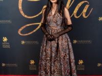 381 Red Carpet Gala 2025