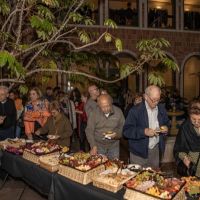 15 THE DAWN IS TOO FAR